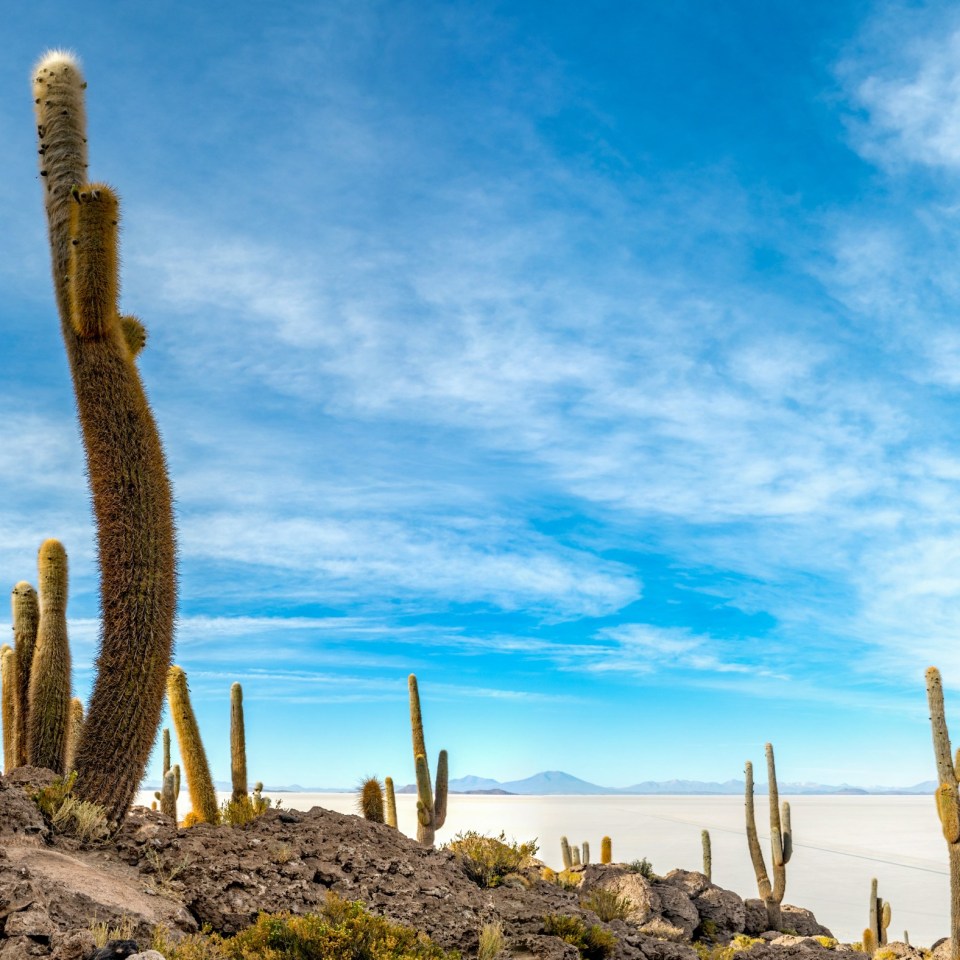 Geheimnisvolle Anden